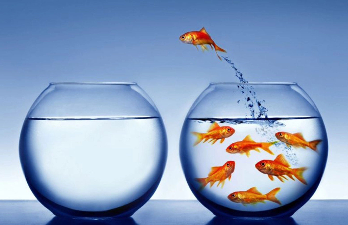 As mudanças fazem parte da vida